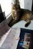 DSC07988.thumb.jpg.4bfbde6e59213e70818a8d7ba83ffd53.jpg