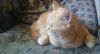 DSC_0017.thumb.JPG.35e2337b1a1efee819c493b1b50921bd.JPG