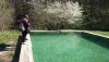 DSC_0088.thumb.JPG.816ad3b63548484bffb9548dfff8089f.JPG