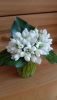 DSC_0368.thumb.JPG.f7afb2b255c73f5e2f309696ce0d525d.JPG