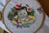 DSC_1541.thumb.JPG.129b1060490943e22905b6e158a396c9.JPG