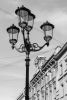 DSC_2121.thumb.jpg.1c8fe60da64c4e1dbdbc9a6fb0ba5e91.jpg