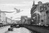 DSC_2126.thumb.jpg.ac206fa0b79a24b12f4769b00f9b21c7.jpg