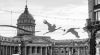 DSC_2138.thumb.jpg.18888f715fadf9f69c1466ad91957926.jpg