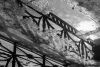 DSC_2179.thumb.jpg.11ccd80d95a0d01c527dfc2856ac6960.jpg