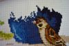 DSC_2339.thumb.JPG.bb0399e46fb4ad159140363d1aee592b.JPG