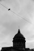 DSC_5744.thumb.jpg.7de52d214553920708f1f2b90b34718e.jpg