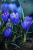 DSC_6280.thumb.jpg.3d9ac9a6a1c14232c17cfe3397711bf5.jpg