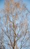 DSC_6408.thumb.jpg.8afc712ddf82a74244365ca15a881bbb.jpg