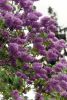 DSC_6757.thumb.jpg.1e7aa3ef099691b92148604740404456.jpg