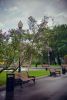 DSC_6766.thumb.jpg.7637b93cb138d3bb2fc385eb74f80ced.jpg