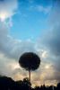 DSC_6798.thumb.jpg.de847ef9393438b6a8c585f9de37b13c.jpg