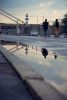 DSC_6809.thumb.jpg.96877b03135d2ec0aff7200ee73cbcb3.jpg