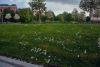 DSC_6820.thumb.jpg.46497055f420e4b5db8ffd13fc7d1f9b.jpg