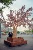 DSC_6878.thumb.jpg.5ec3ffd5dfc76dad5accd390210cc19b.jpg
