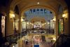 DSC_6974.thumb.jpg.6be8da234881e72a43d1fa990c7844e4.jpg
