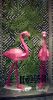 DSC_6975.thumb.jpg.6da46795397b9337fe2f37e98d9d8f2b.jpg