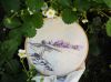 DSC_7051.thumb.jpg.e956c94181fa0a3f2a2e197e1fbed843.jpg