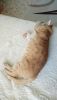 DSC_7933.thumb.JPG.bc58bdeb4c1a2e9d78f4eaaed3de1e6c.JPG