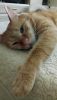 DSC_7934.thumb.JPG.89fd7f4798e41003fe6101cd837d9a74.JPG