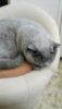 DSC_7936.thumb.JPG.f4361ff02dd89b9ac205b5125255b833.JPG