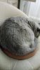 DSC_7937.thumb.JPG.970a11165de03c53ca2ffd99c52e43df.JPG