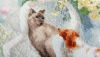 DSC_7958.thumb.JPG.95a9964ddd6098f0a0c3db83a00fa2a8.JPG