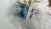 DSC_7960.thumb.JPG.7ce128c08382b01753828838be2327fc.JPG