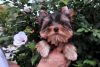 IMG-20160831-WA0019.thumb.jpg.07df85381f7b907095d1aebb46c924ba.jpg