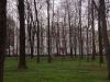 IMG_20180429_170152.thumb.jpg.f7f58f8a5dd30a552ce05820b065cae1.jpg