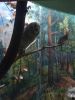 IMG_20180501_112654.thumb.jpg.a37149fb26a8bfedef720136372355c8.jpg