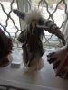 IMG_20180501_122454.thumb.jpg.d574f6426f7da0017ed6e178fe808edd.jpg