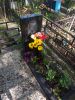 IMG_20180509_160545.thumb.jpg.686fb258adf93b644ba74664ffb48f4d.jpg