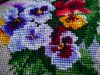 IMG_20180509_200653.thumb.jpg.37f6b91b614c7de5a83e9db0660e848b.jpg