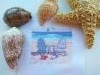 IMG_20180511_142720.thumb.jpg.a8d7ad287d12e6df63acf8deda1ff3a1.jpg?1526038786260