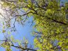 IMG_20180513_114924.thumb.jpg.e10185efd7aa53c912325ba0eed8f5c5.jpg