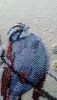 P_20180322_105356.jpg