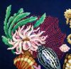 image.thumb.jpeg.e4cfb7662a99740dbc571bca8ad52f97.jpeg