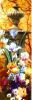 post-2-1399829212.thumb.jpg.ee0a522abb7a51b54df15860b10b2cc6.jpg