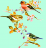 post-2-1402833233.thumb.png.b62449e74221d65f6dd708a2bb229ed3.png
