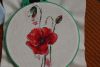 06.thumb.JPG.33daec91610bc41cd749bf2add0d343c.JPG