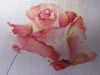 1.thumb.jpg.775d48dbe1ee55da42fc49ce6908000a.jpg