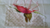 1002.thumb.png.a5c4a61c246ef9f6660e969cb9384416.png