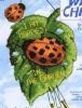 Ladybug Wind Chimes