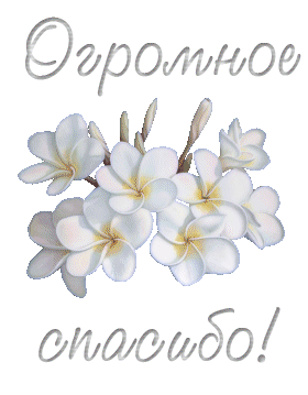 1486539317_812-ogromnoe-spasibo.thumb.gif.01462d5bc0db3f64abda813596a0bc28.gif