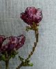 15.thumb.jpg.a5aed7500de515ec527abc374b6590d5.jpg