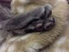 20171126_222334.thumb.jpg.f0b5e77541a821a4a9302e22083a2d9d.jpg