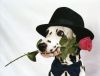 2018-06-12-13-20-40.thumb.jpg.b8de5893a3f59f7c8234eeeb23715445.jpg