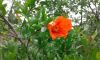 20180526_075018.thumb.jpg.7df611bcc0c74494b99b2588f17cbcd6.jpg