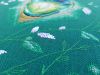 20180527_170025.jpg